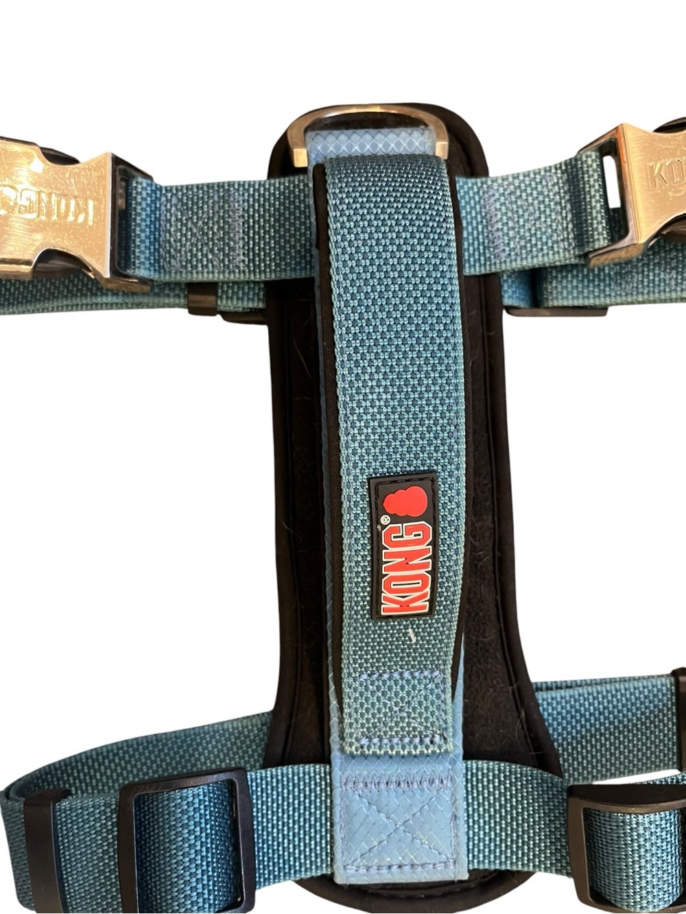 Kong teal harness with red logo
